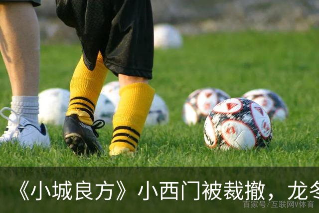 《小城良方》小西门被裁撤，龙冬冬一席话，数千人请命保住小西门，难怪刘铮亮成主任