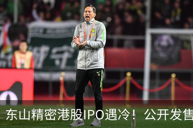 东山精密港股IPO遇冷！公开发售不足一倍，散户100%中签，前日暗盘收跌7.43%