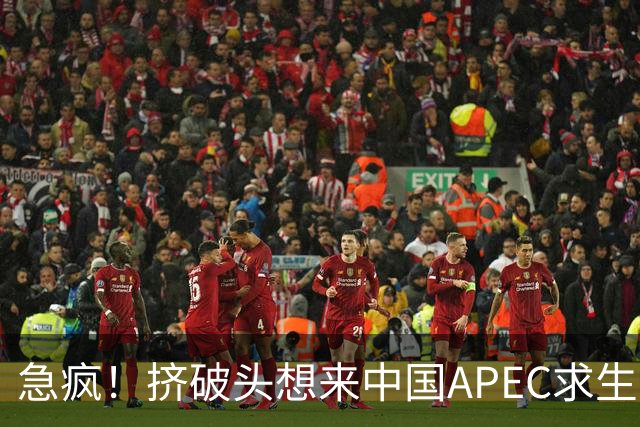 急疯！挤破头想来中国APEC求生，因国内清算打响，高市或锒铛入狱