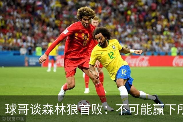 球哥谈森林狼首败：不可能赢下所有比赛 华子需要把三球骂醒