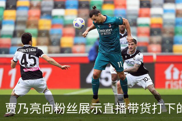 贾乃亮向粉丝展示直播带货打下的江山，参观衣帽间