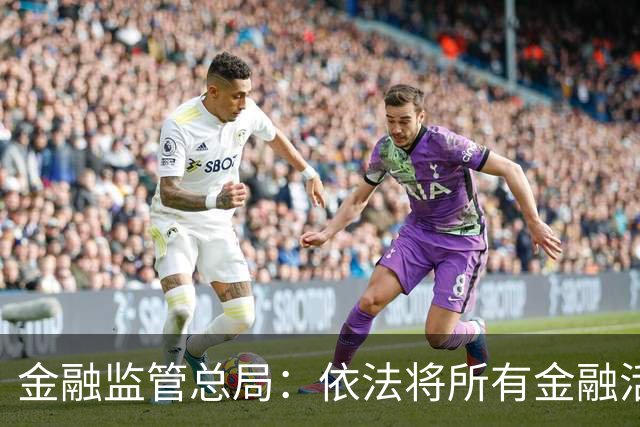 金融监管总局：依法将所有金融活动全部纳入监管